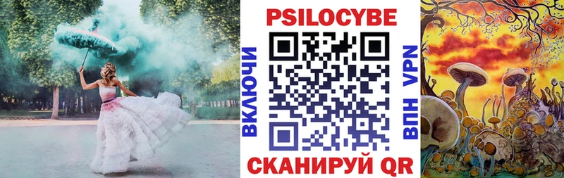 магазин Мглин Псилоцибиновые грибы Psilocybe